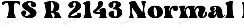 TS R 2143 Normal Regular字体转换